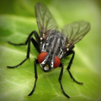 /album/putas-nuas-/photolia-a01-jpg/