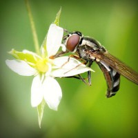 /album/putas-nuas-/photolia-a02-jpg/