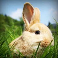 /album/putas-nuas-/photolia-a03-jpg/