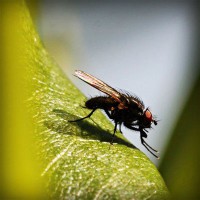 /album/putas-nuas-/photolia-a04-jpg/