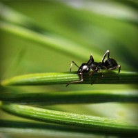 /album/putas-nuas-/photolia-a05-jpg/