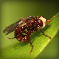 /album/putas-nuas-/photolia-a06-jpg/