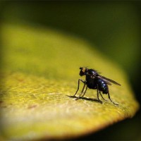 /album/putas-nuas-/photolia-a07-jpg/