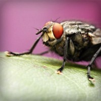 /album/putas-nuas-/photolia-a08-jpg/